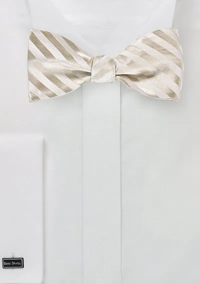 Papillon elegante con cravatta a righe Champagne
